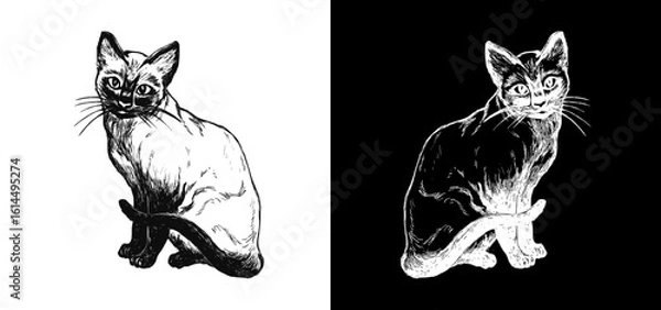 Obraz black and white cats