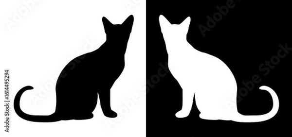 Obraz black cat silhouette