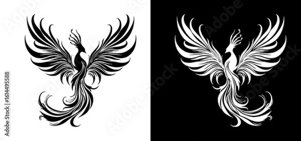 Obraz black and white wings