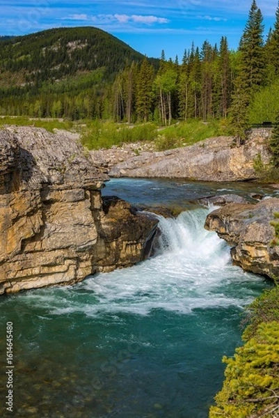 Fototapeta Elbow Falls In The Summertime