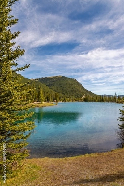Fototapeta Turquoise Lake In The Alberta Mountains