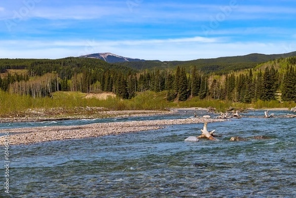 Fototapeta Rushing River Through Alberta Mountains