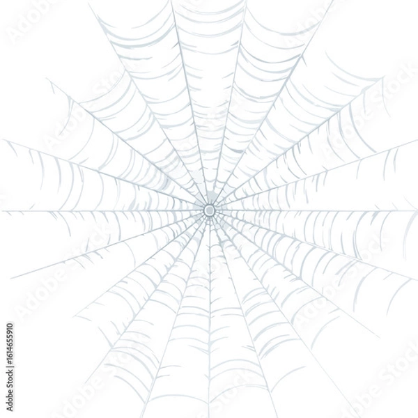 Obraz spider web isolated in White Background, spider web vector, Flat lay vector illustration