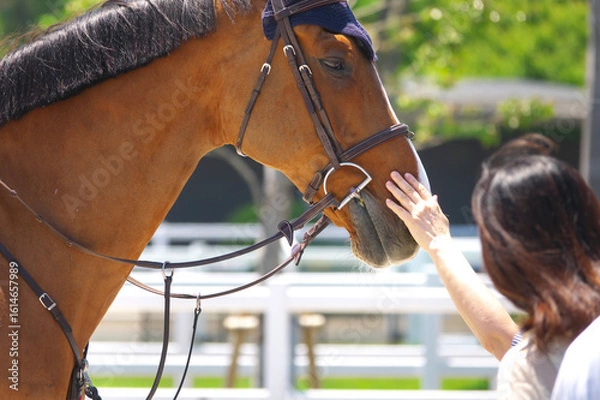 Obraz 馬術競技のイベントで観客の人間と触れ合う馬