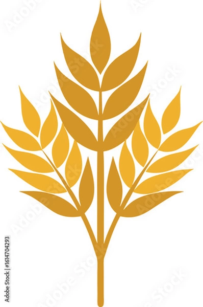 Fototapeta Golden wheat stalks with leaves isolated on white background