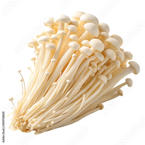 Fototapeta A whole single enoki mushroom cluster isolated on a transparent background