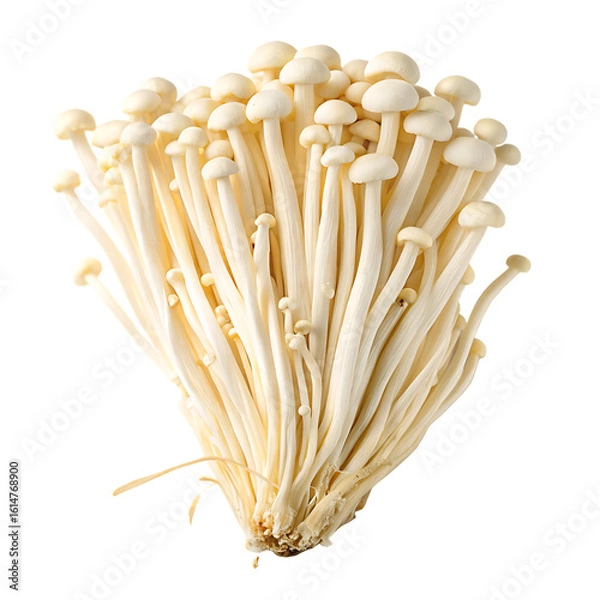 Fototapeta A whole single enoki mushroom cluster isolated on a transparent background