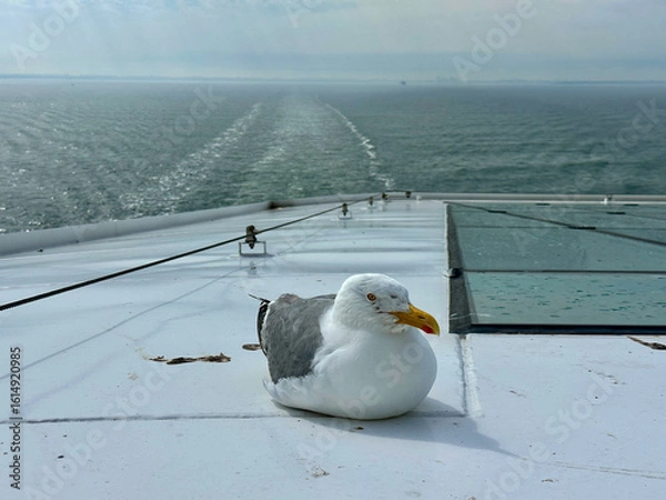 Obraz Blinder Passagier