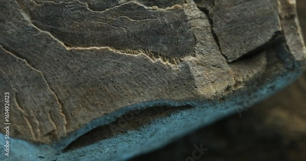 Fototapeta Close-up of layered slate rock with cracked lines and subtle blue shadows