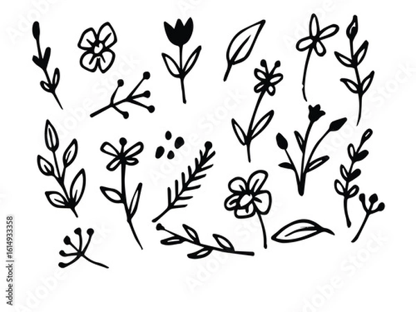 Obraz Flower abstract hand drawn brush ink stroke. Sketch hand drawn silhouette floral plant, nature graphic leaf, scribble grunge brush texture. Vector simple flower, leaf ink stroke. 