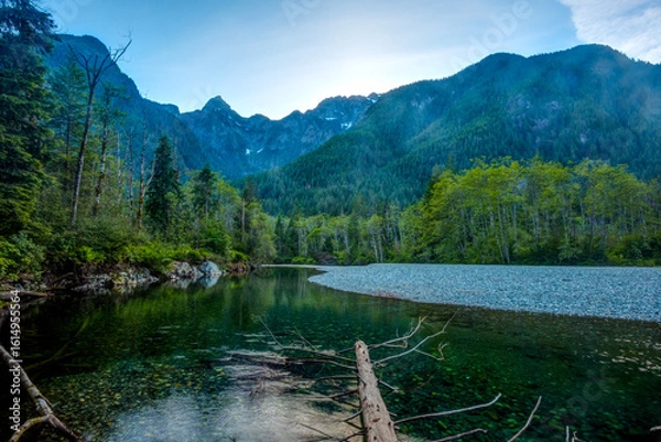Fototapeta Scenic view of Gold Creek by trees in Canada