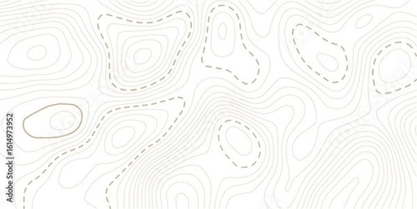 Obraz Topographic map lines background. Abstract vector illustration.