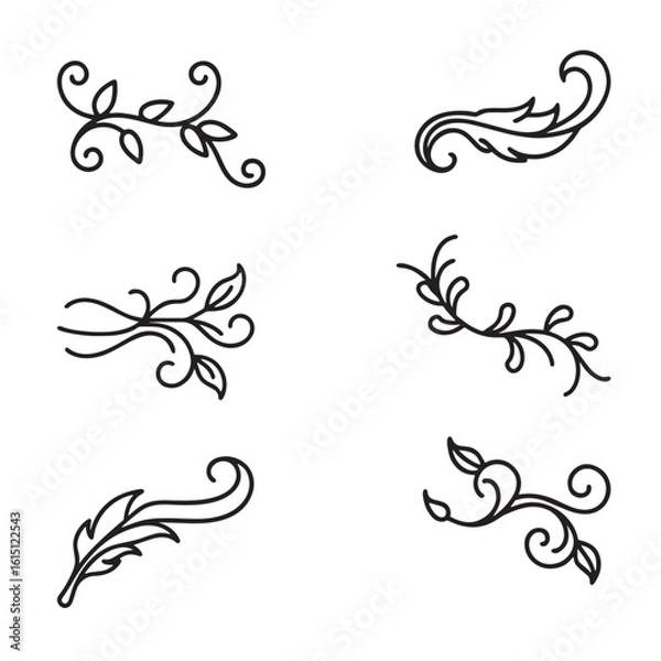 Obraz Vintage Ornamental Divider and Floral Scroll Elements Vector Set