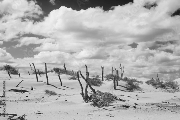 Obraz Wüstenlandschaft