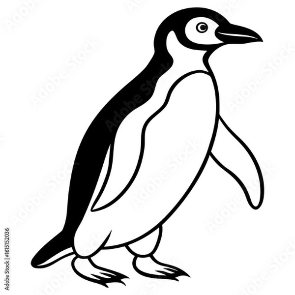 Fototapeta A penguin waddles forward on a white background