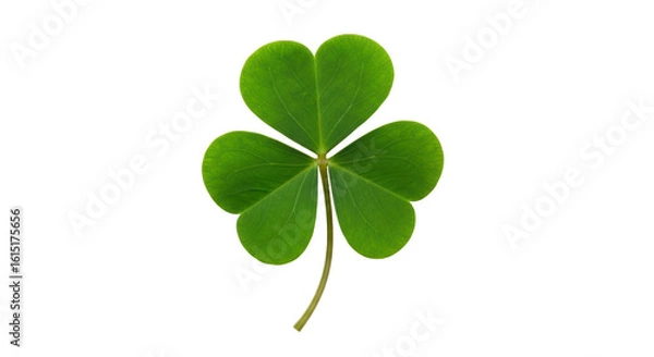 Obraz Isolated Shamrock