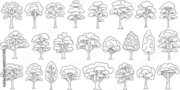 Fototapeta Cad tree line minimal style, set of graphics trees elements outline symbol for architecture and landscape design drawing. Vector illustration