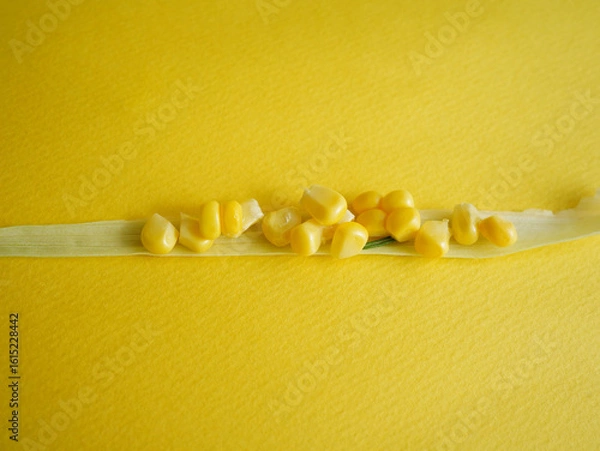 Fototapeta sweet corn