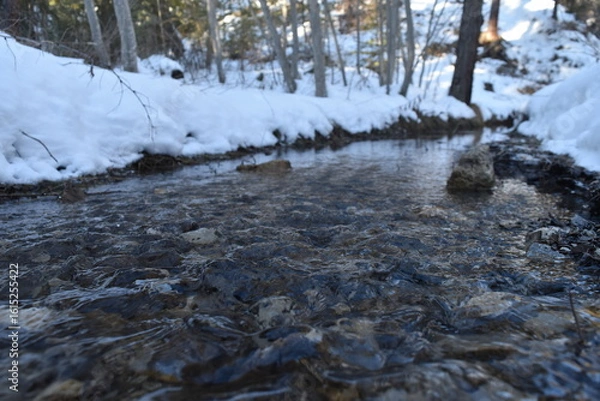 Obraz Eau claire qui ruisselle dans une forêt enneigée en montagne.