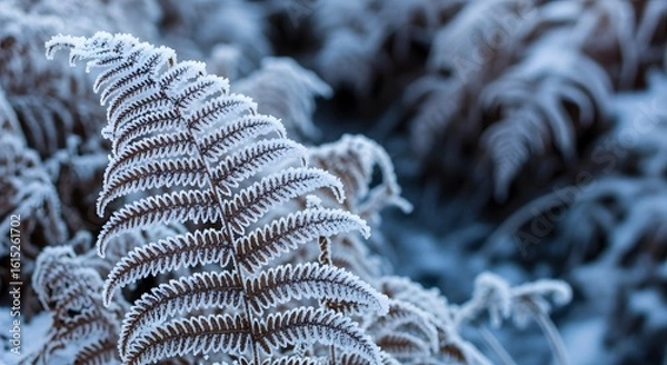 Obraz Frost Fern Leaf