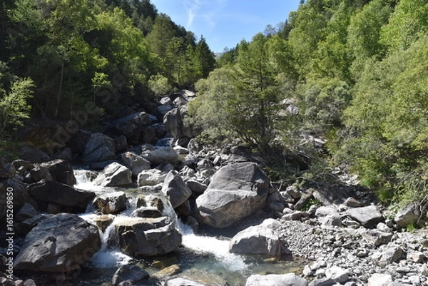 Obraz Cour d'eau passant entre les rochers, au milieu d'une forêt en montagne.