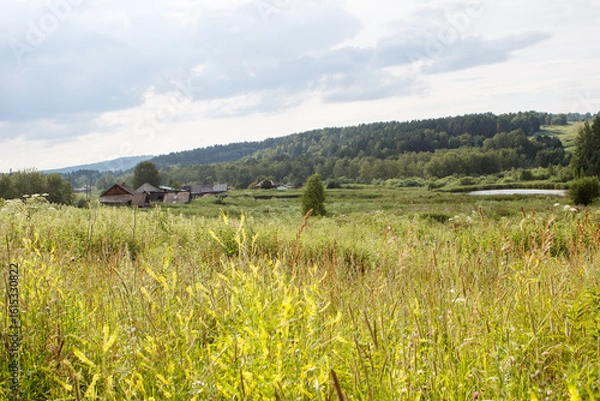 Obraz rural landscape in summer