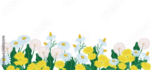 Obraz Horizontal backdrop with dandelions on white, vector illustration 