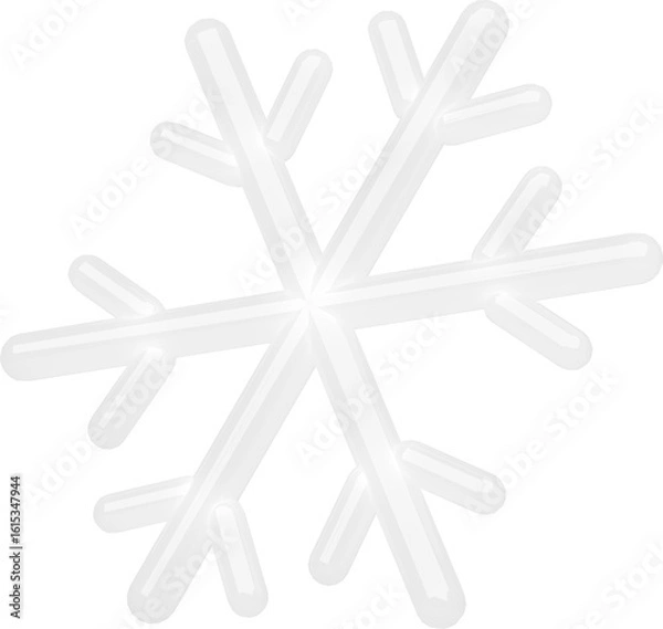 Obraz snowflake