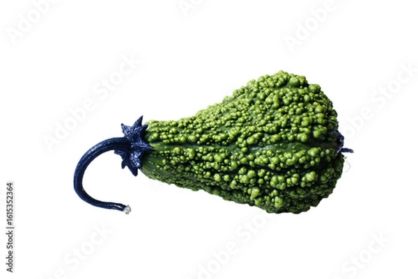 Obraz a green vegetable with a blue handle