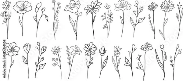 Fototapeta Hand drawn line art botanical floral elements. Vector illustration for label, invitation, frame, logo.