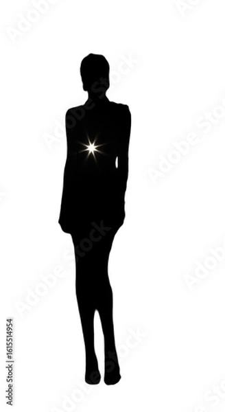 Fototapeta Abstract Star Flare Illustration With Transparent Background And Blackness
