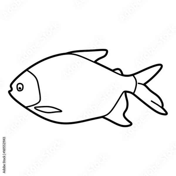 Obraz simple left-facing freshwater fish line art vector