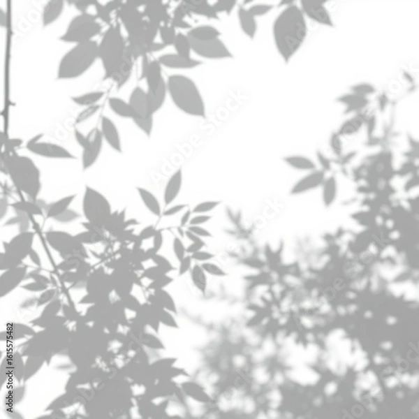 Fototapeta shadow overlay effect. Gray shadow of leaves isolated on white background. Plant foliage leaf shadow 
light effect. Mockup Blurred tree branch shadow. Ideal for summer spring design elements PNG