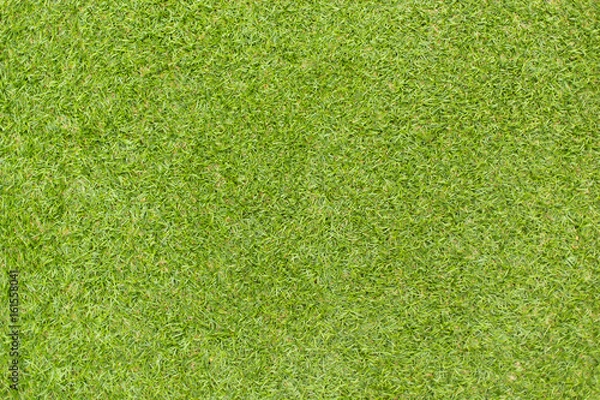 Fototapeta Green grass natural background texture.