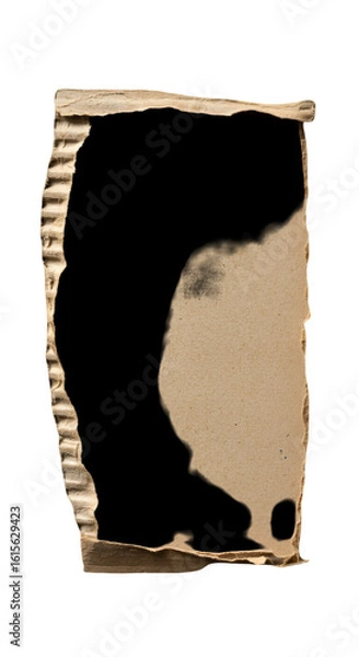 Obraz Isolated Brown Torn Cardboard Texture Abstract Background Image