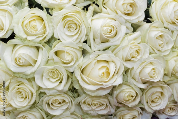 Obraz Beautiful bouquet of white roses. Bunch of many colorful fragrant flowers. Floristry and floral design concept. Floral texture
