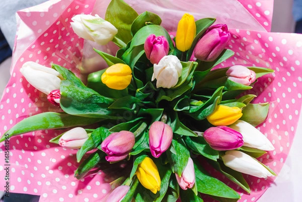 Obraz Spring bouquet of colorful tulips wrapped in pink paper with white polka dots. Bunch of many colorful fragrant flowers. Floristry and floral design concept. Floral texture