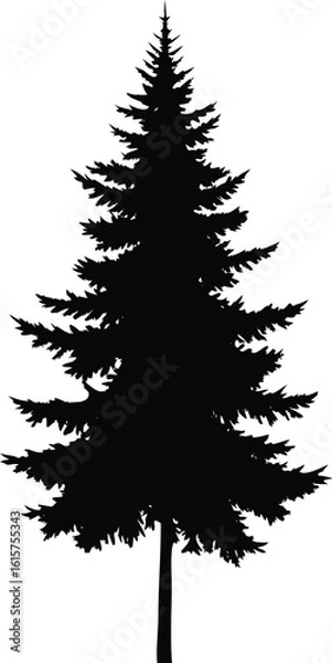Obraz pine tree silhouette vector	