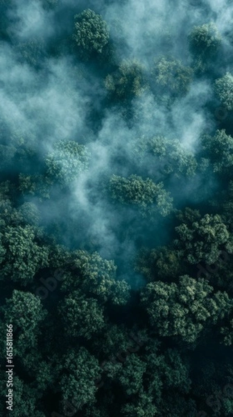 Fototapeta Aerial View of Dense Forest with Clouds and Mist Rolling Over Trees