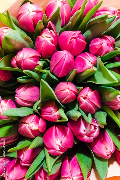 Obraz Spring bouquet of pink tulips . Bunch of many colorful fragrant flowers. Floristry and floral design concept. Floral texture