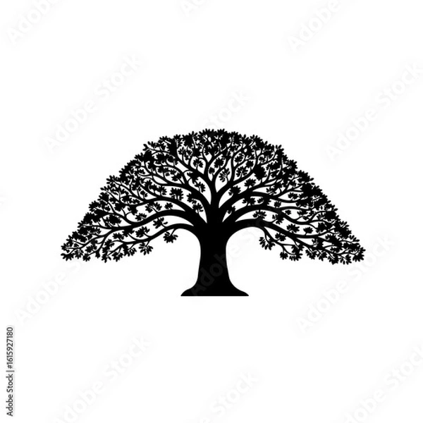 Fototapeta tree with roots