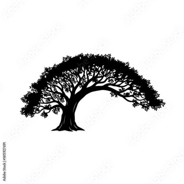 Fototapeta tree silhouette vector