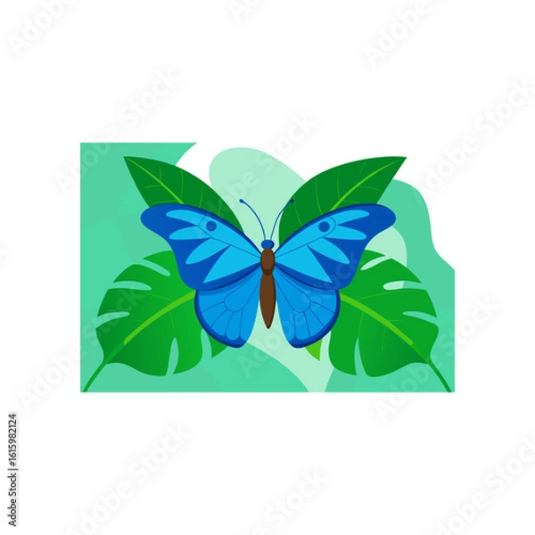 Fototapeta blue morpho butterfly on rainforest leaf