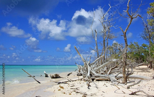 Obraz plage cubaine