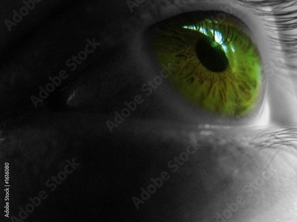 Fototapeta eye green