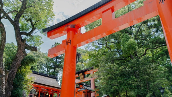 Fototapeta Bright red torii gates lining the pathway of Fushimi Inari Taisha, one of Kyoto's most iconic Shinto shrines. Captured on a quiet forest trail in Japan.
