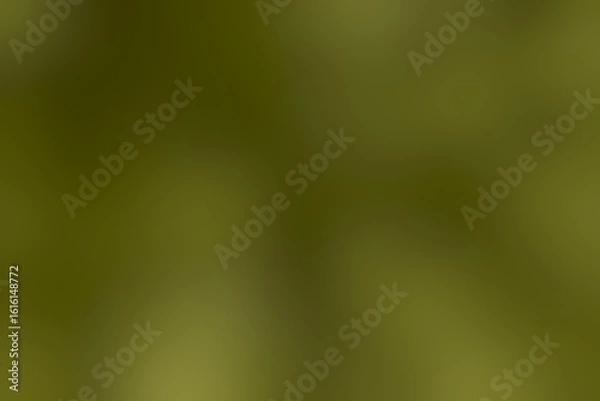 Obraz Abstract olive green gradient background with blurred texture and subtle light creating a soft and