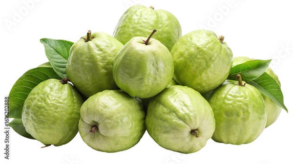 Fototapeta A fresh pile of vibrant green guavas with leaves showcasing their unique textured skin isolated on transparent background