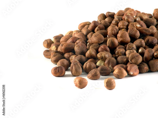 Obraz hazelnuts isolated nb.14