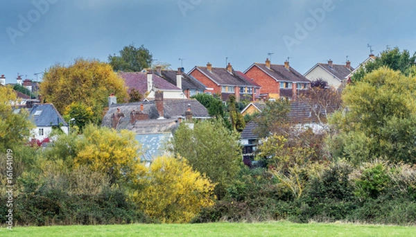 Fototapeta Several houses on the outskirts of the city of Exeter. Are located very close to each other. Houses with tiled and thatched roofs. Two storey houses. Autumn colorful view. Exeter. Devonshire. England